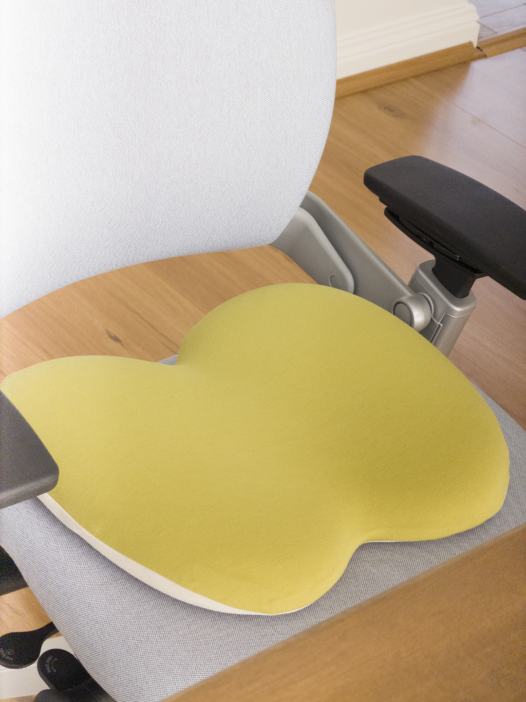 AppleCush Seat Pad