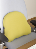 LumBoo Lumbar Support